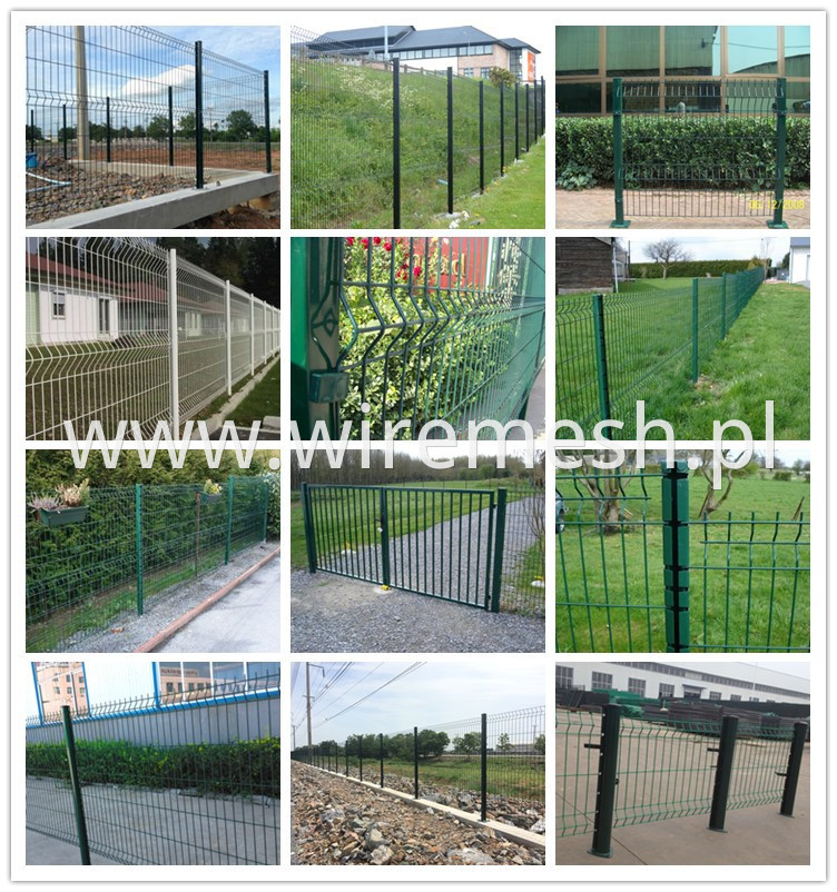 Wire Mesh Fence